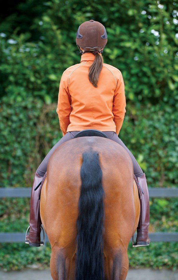 DT-01-shoulder-control-heather-blitz