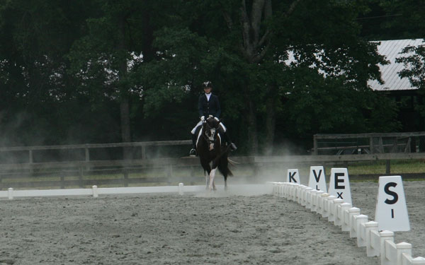 64-leg-yield-half-halt