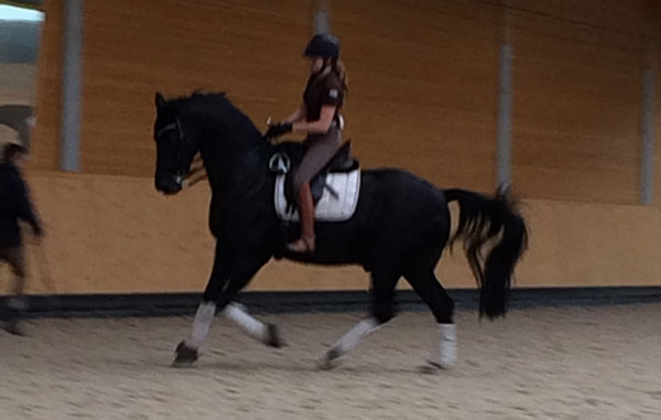 16-Clinic-at-Hof-Bornsen