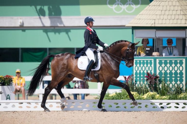 carl-hester-nip-tuck