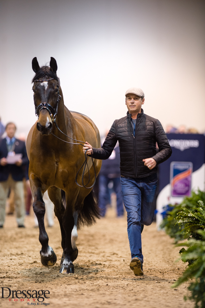 carl hester nip tuck