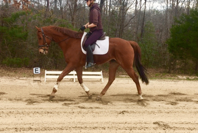 2-Pam-Stone-Trot