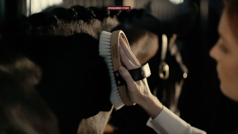 sponsored-renwick-and-sons-brushware-collection-1