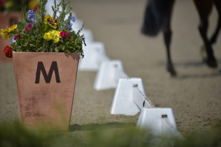 dressage ring by arnd bronkhorst