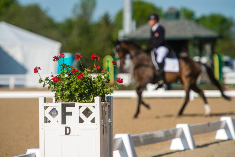 improve dressage test score