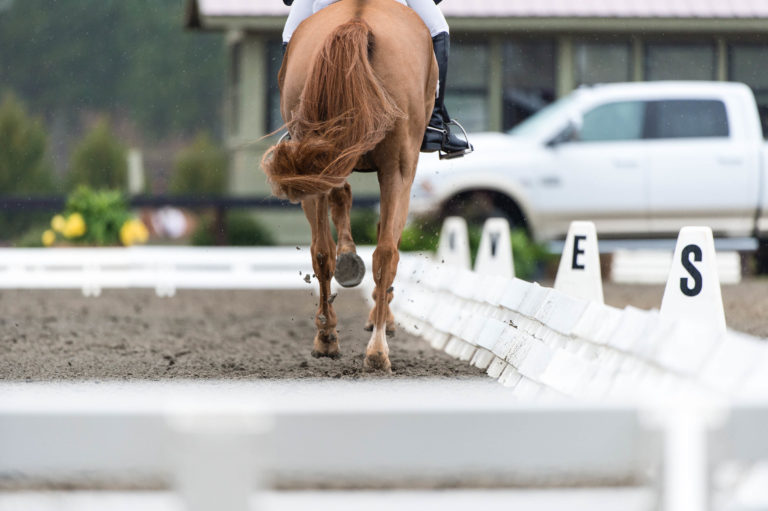 canter transition