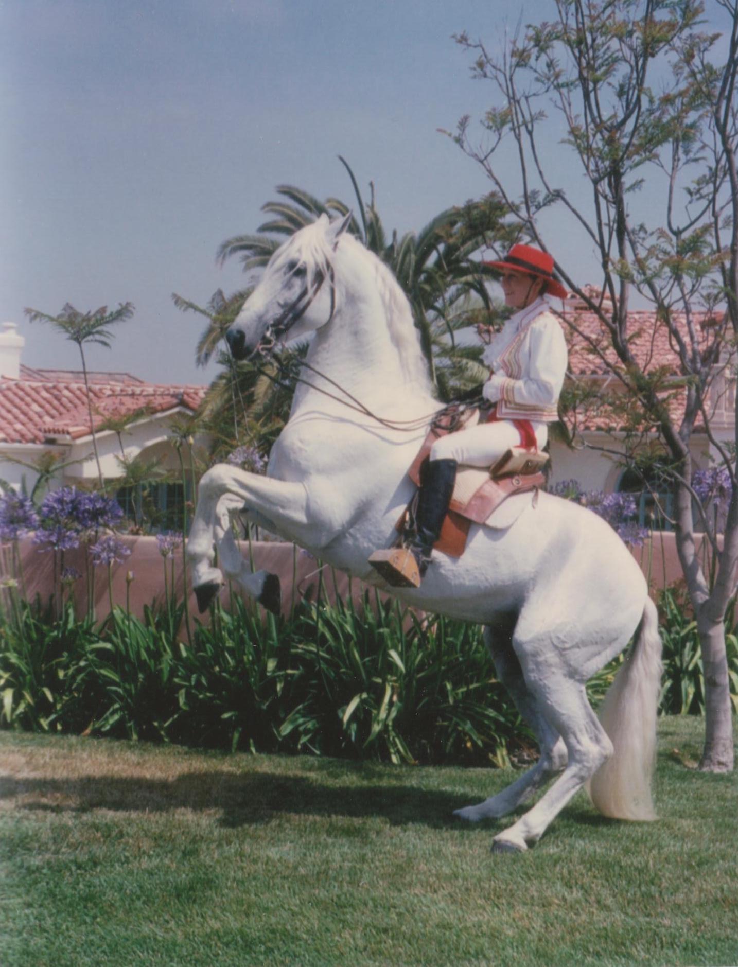 The Unstoppable Equestrian Eloise King