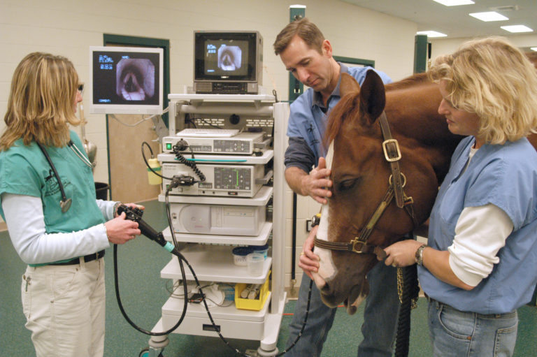 upper airway endoscopy