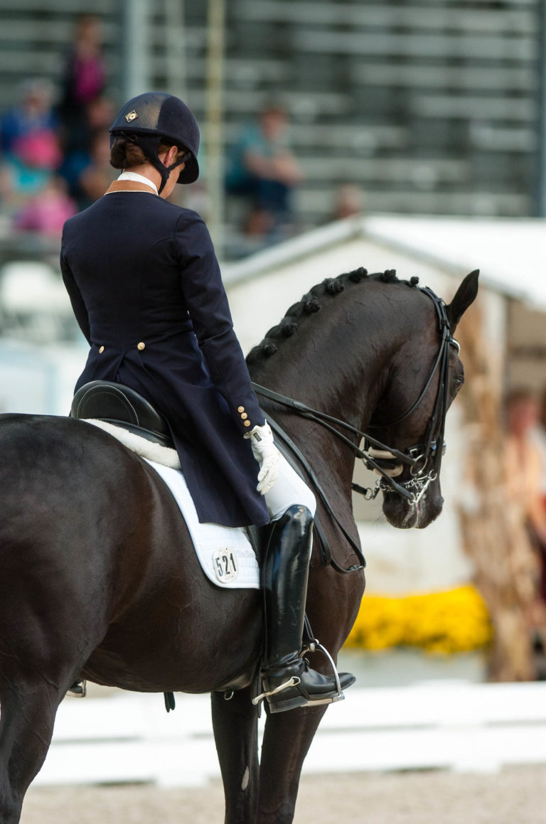 dressage today extra volume 1