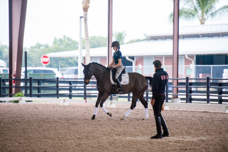 dressage clinic