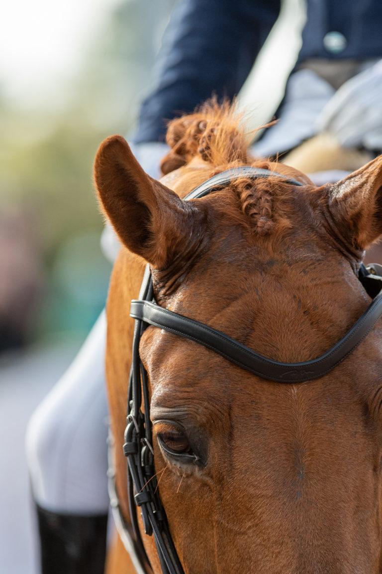 WEF-20-0109-AD5a-489