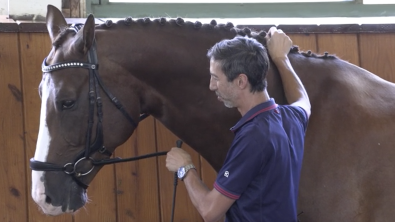 Screen Shot 2022-01-13 at 2.34