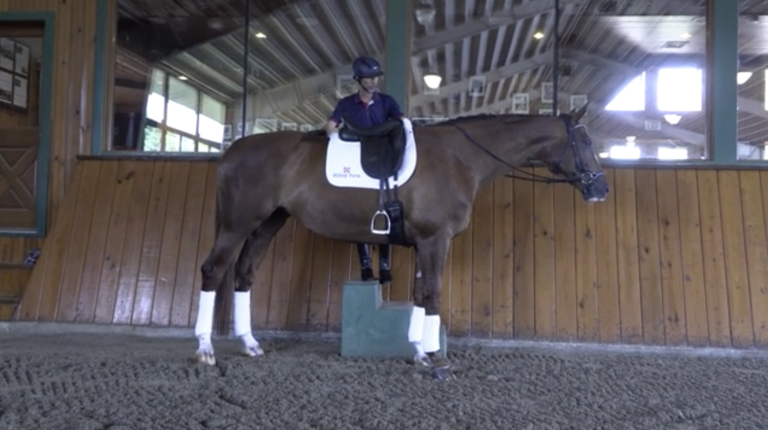 Screen Shot 2022-01-13 at 2.45