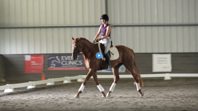 Screen-Shot-2022-04-06-at-1.52