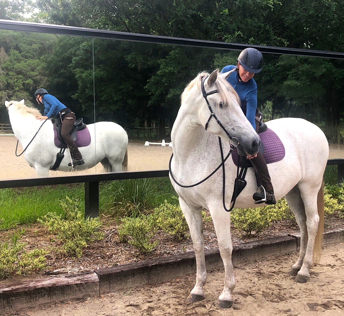 Riding a mare with rearing and flipping issues, image size:1462x1343