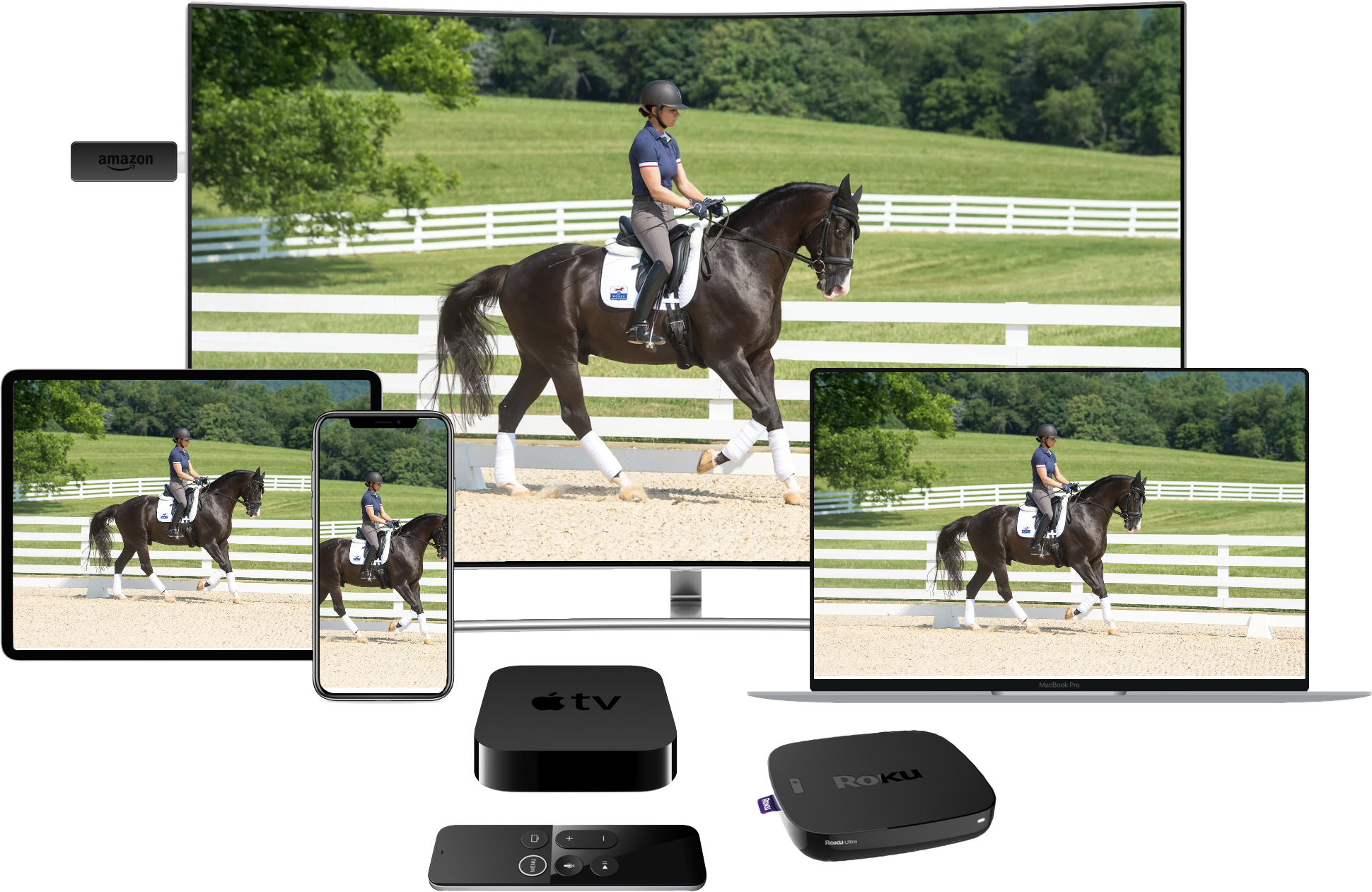 Horse Training Tv Shows 60 Photos - Moonagedaydream.film