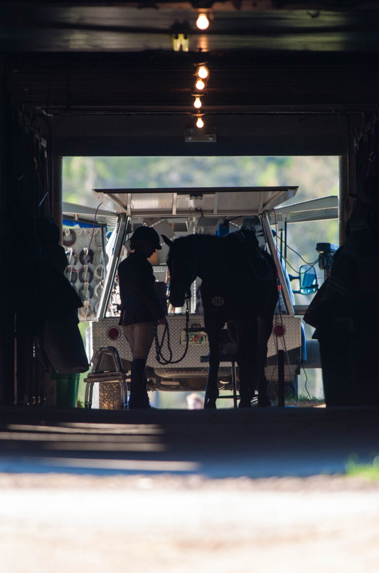 STK-07-0317-C1C1-015