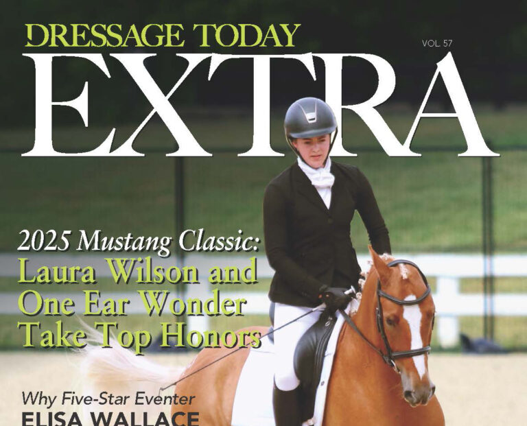 DT_EXTRA-VOL57_MustangClassic_Page_01 copy