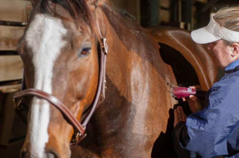 Hunter Messineo (USA)Bourbon StreetGretchen Canova Gabor