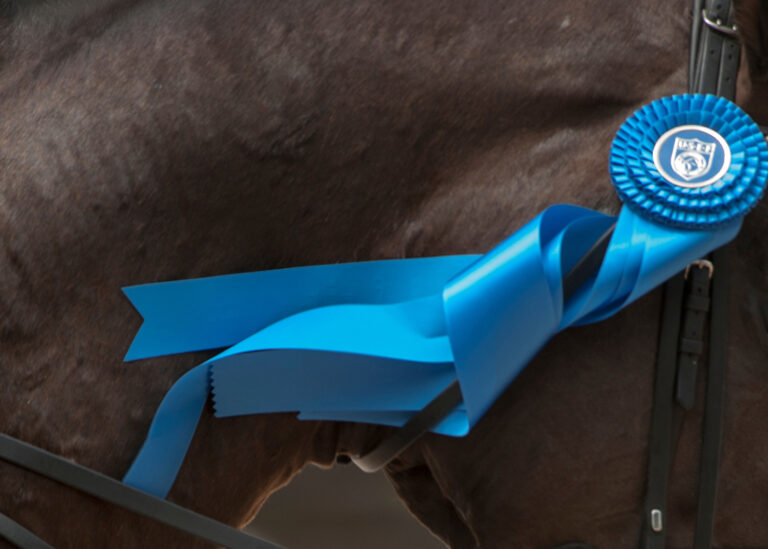 Tina Konyot (USA)Calecto V