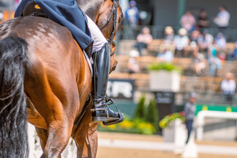 FISCHERCHIPMUNK FRHMichael JungGER