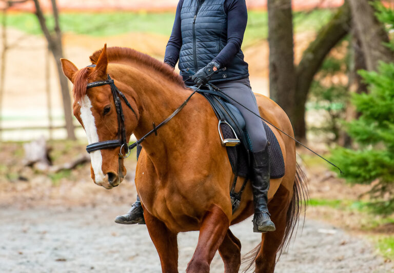 Axel_NoStirrups_TN copy