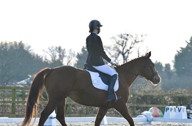 SusanneWinter2025 copy 3