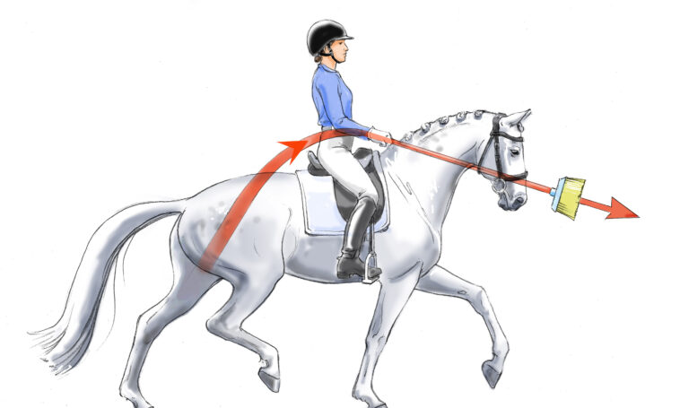 Broom Stick Solutions 3copy