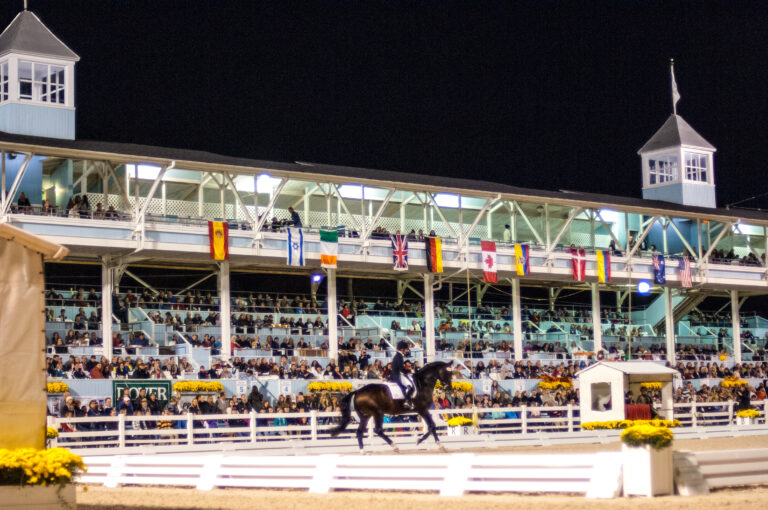 Susanne Hassler (USA)