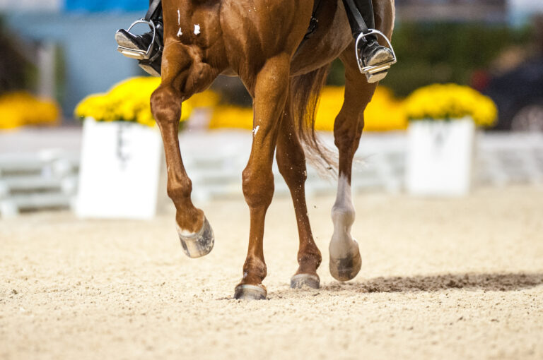 Barbara Strawson (USA)