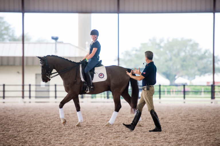 DressageVertical_TN_2