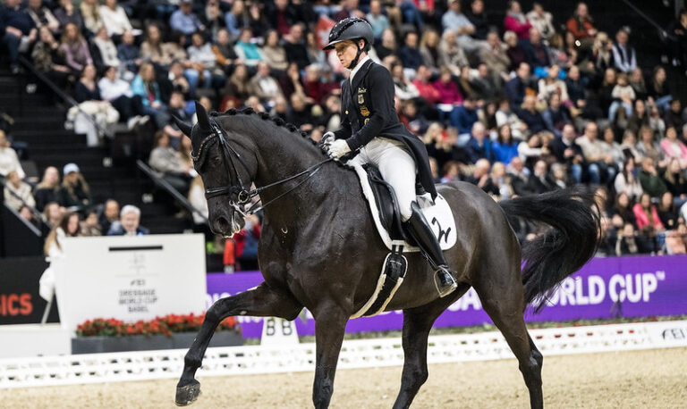 55033913113_9f109a33c7_c