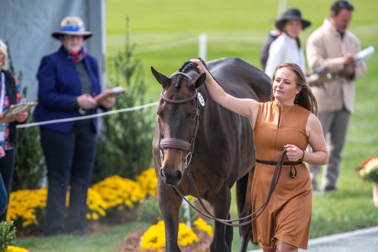 Hannah Sue Hollberg (USA)Harbour Pilot