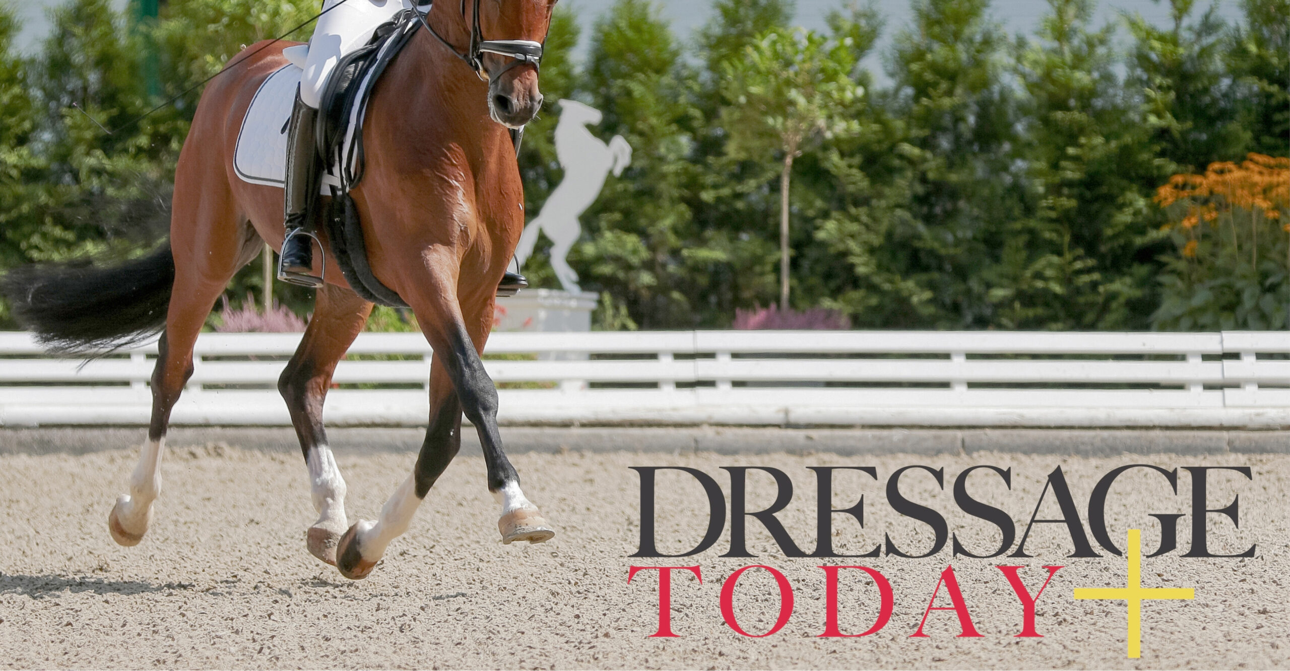 PH+ and DT+ Social Covers - 1