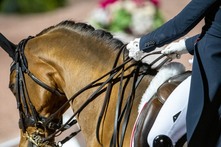 CANJill IrvingDegas 12