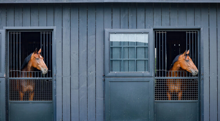 LifeTimeCare_PR copy