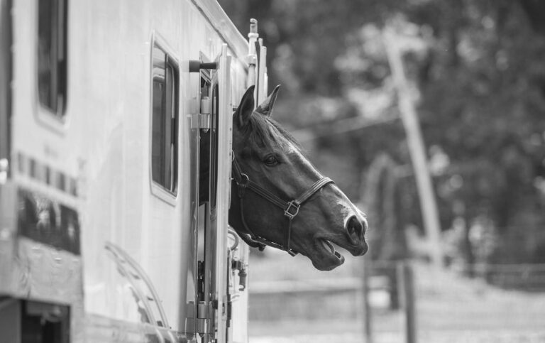 Coughing_Trailer_B&W copy 2