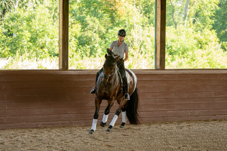 EQN-21-0727-AD6a-471