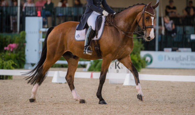 Tinne Vilhelmson Silfvén SWE Devanto