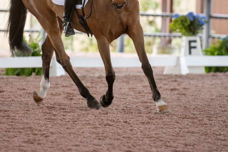 Jennifer BranniganI Bella