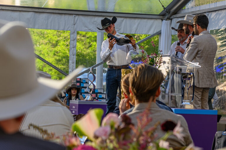 WCF-26-0408-AD1e-029