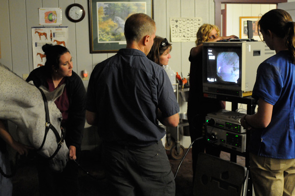 Expanding Your Practice promo image