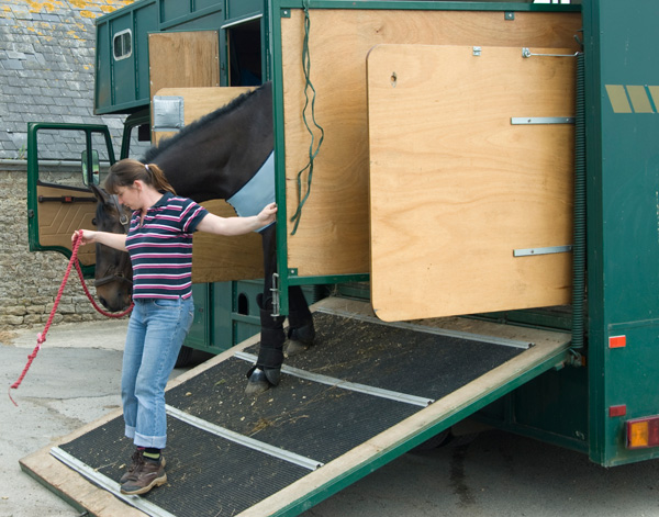 Design for the Client promo image