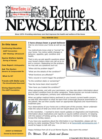 digital-net-Werner-Equine-Newsletter