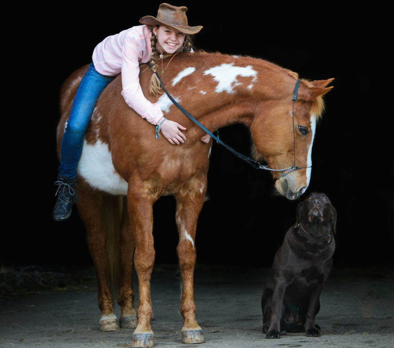 Mixed Species Veterinary Practice promo image