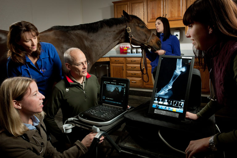 Alerting Clients to Other Services promo image