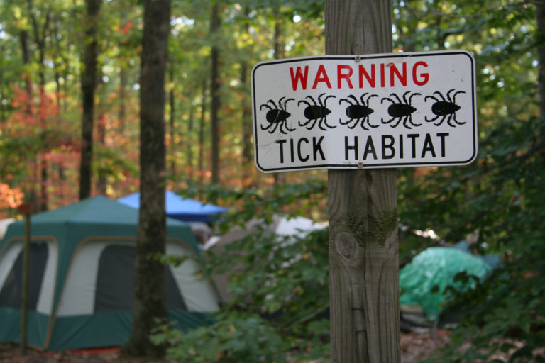 Keeping Up on Lyme Disease Research promo image
