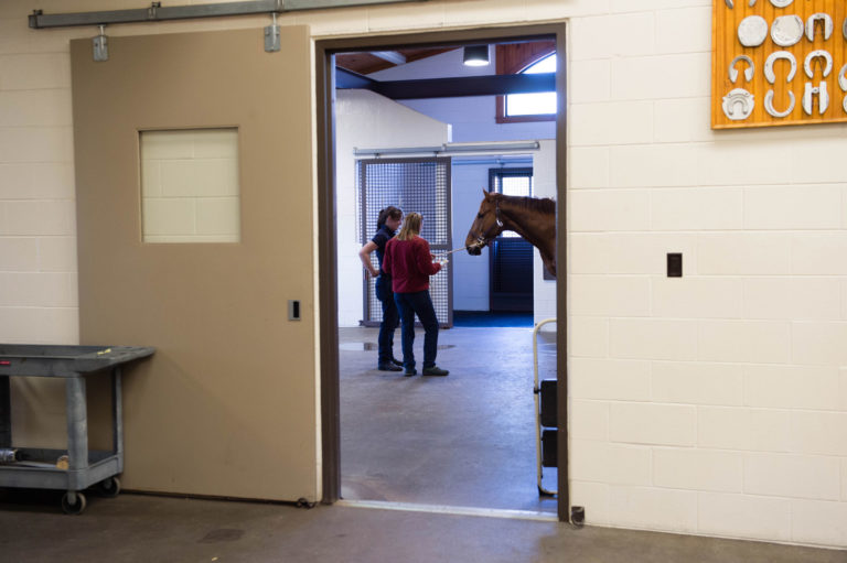 Rood and Riddle Equine Hospital