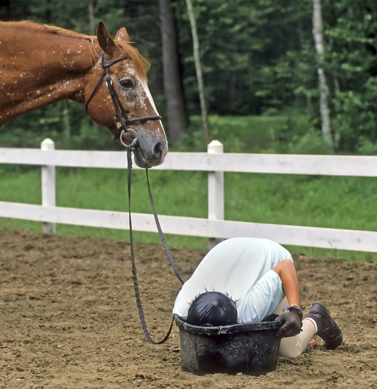 older horse looking at girl bobbing for apples
