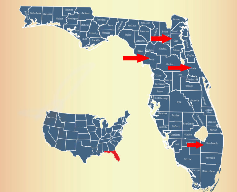 Florida Palm Beach, Levy, Clay, Volusia Counties